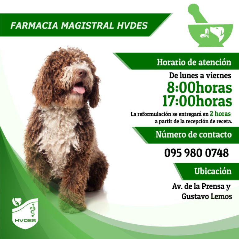 451192747_122119538906333534_8943428848796646885_n