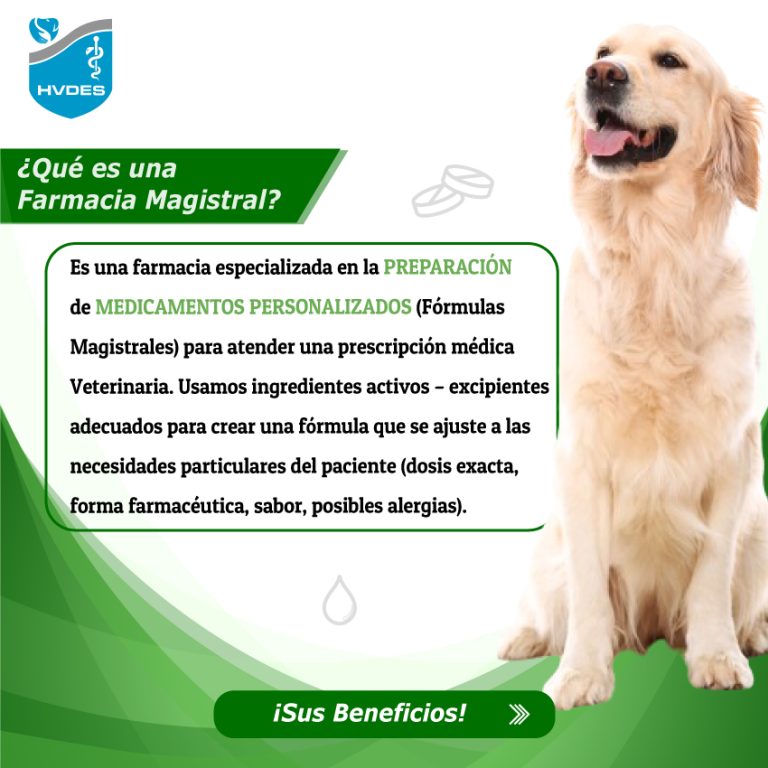 451432103_122119278338333534_8885099430379572342_n