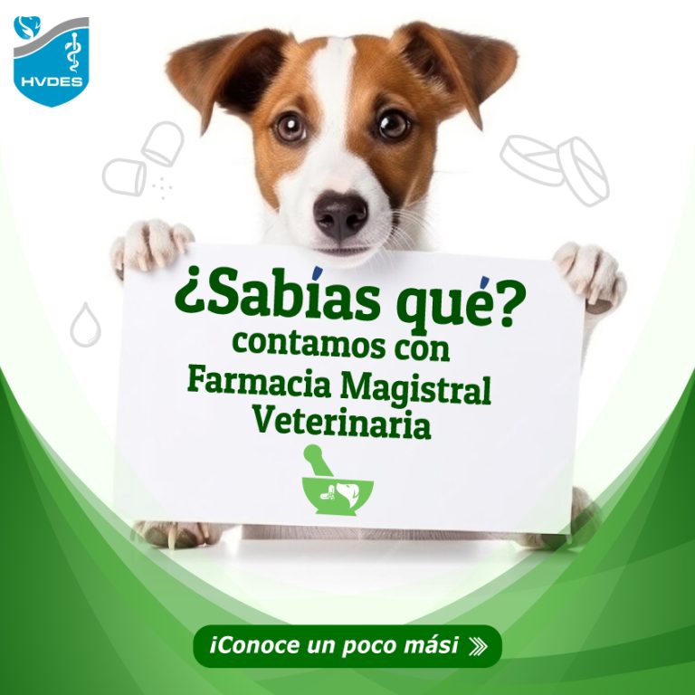 451441916_122119278386333534_6069087298385983590_n