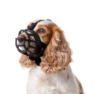 Este bozal tipo canasta para perros ofrece la máxima protección a la vez que es cómodo para la mascota
