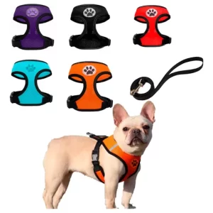 Pechera Chaleco Arnés Para Mascota Perro Gato Raza Pequeña o mediana.