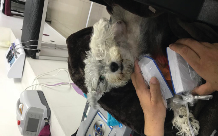 Manejo de Dolor Agudo