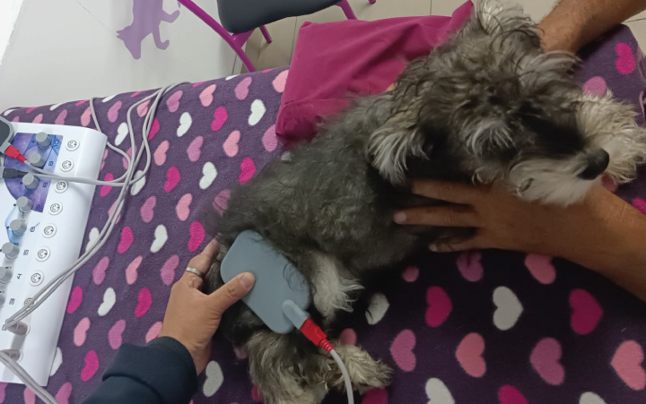 Manejo del dolor cronico