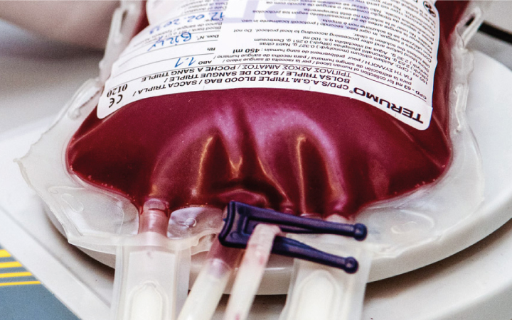 banco de sangre de veterinaria